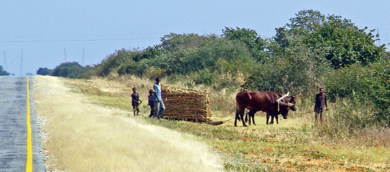 Caprivi06