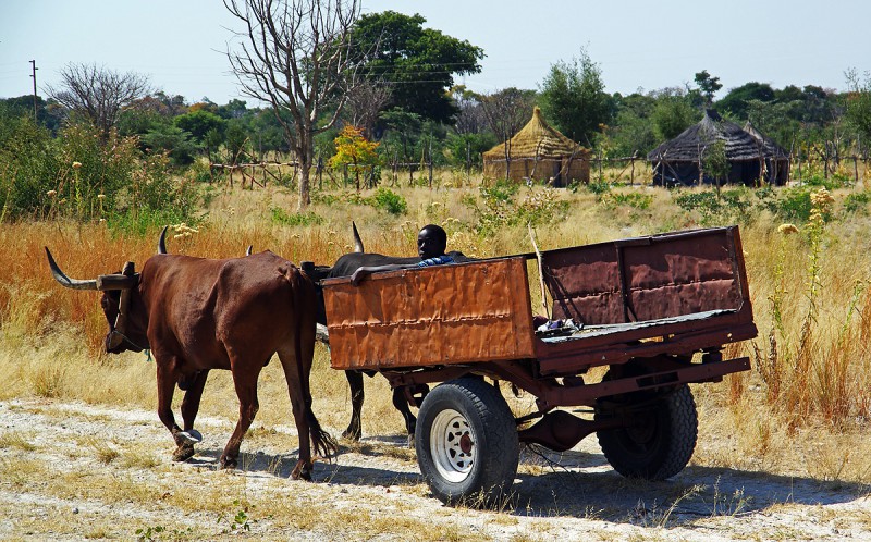 Rundu_Ovisume06