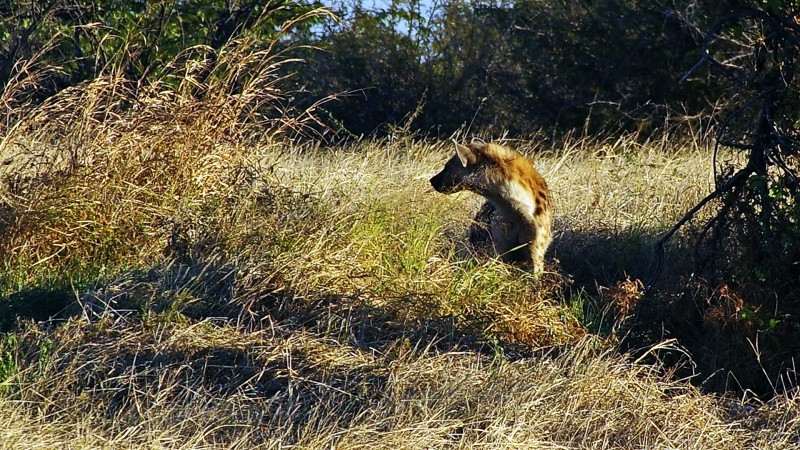 Etosha_0504_058