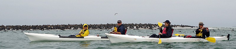 2014_Kayak