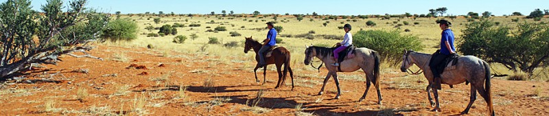 2015_Bagatelle horseback