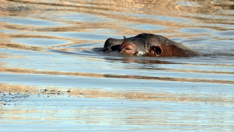 EtjoWaterhole_09