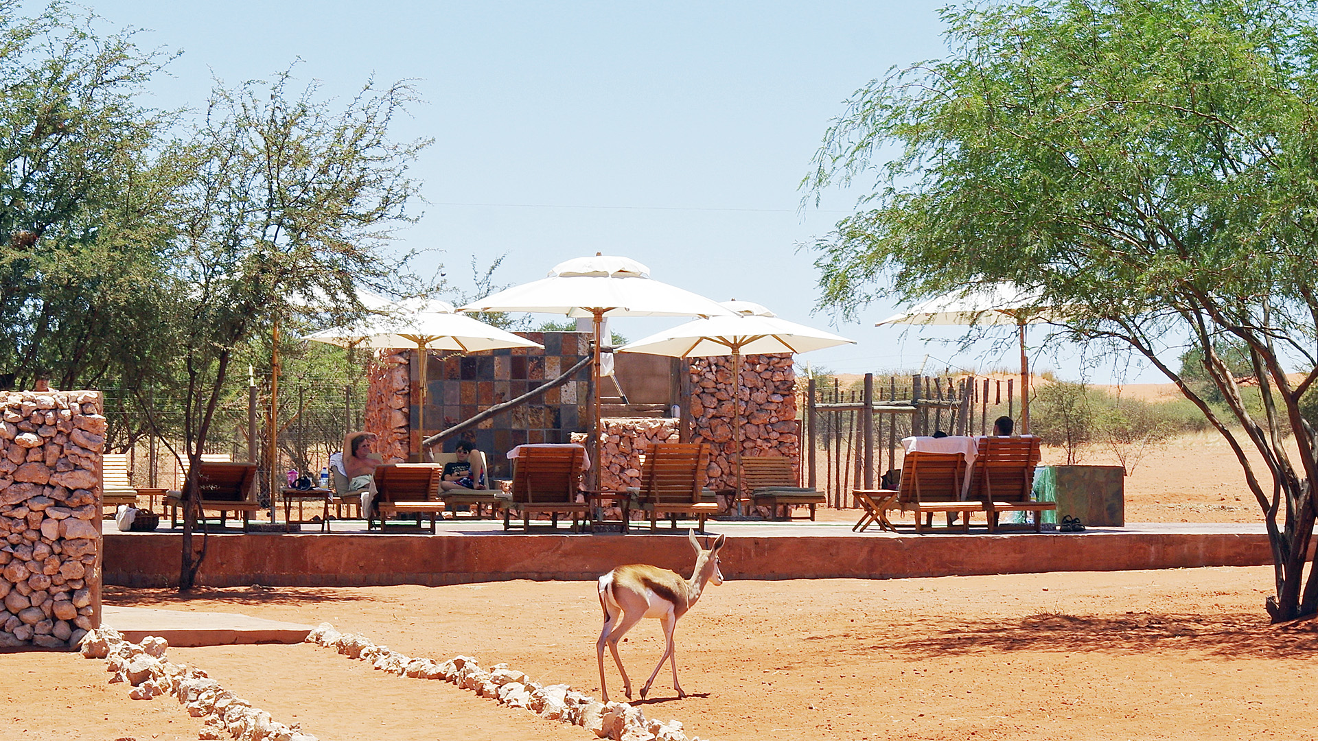 Bagatelle Kalahari Game Ranch | Namibia